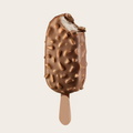 Cococnut Ice Cream Sticks