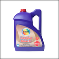 Regular Bleach