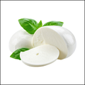 Fresh Mozzarella Cheese